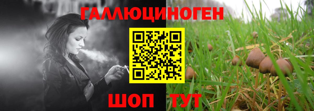 Галлюциногенные грибы мицелий  Вход с VPN  Воронеж 